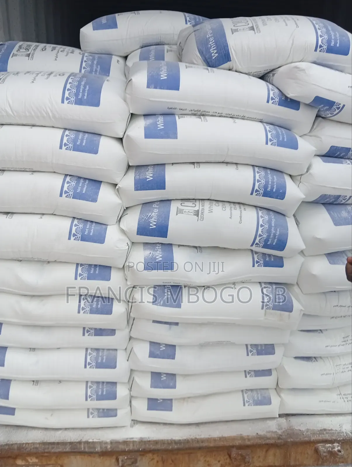 Cleopatra White Cement /Tile Adhesive