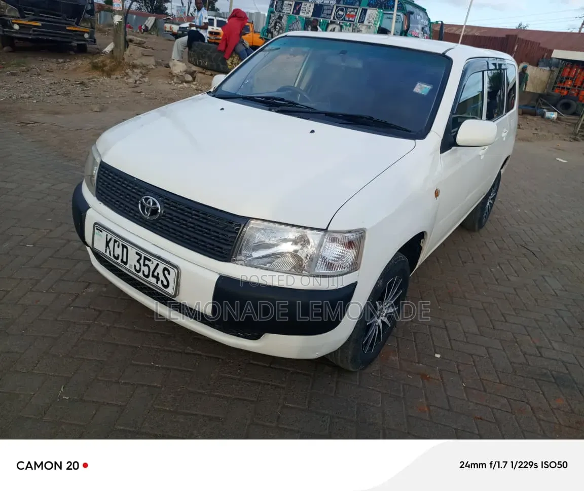 Toyota Probox 1.5 DX 2WD 2009 Pearl