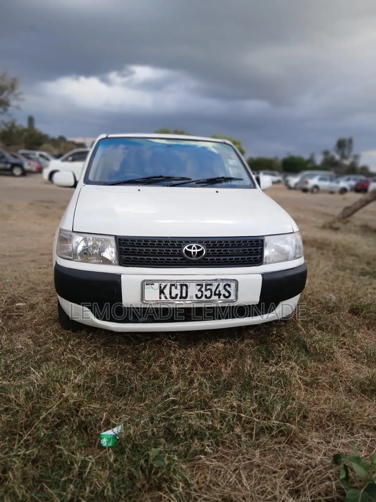 Toyota Probox 1.5 DX 2WD 2009 Pearl