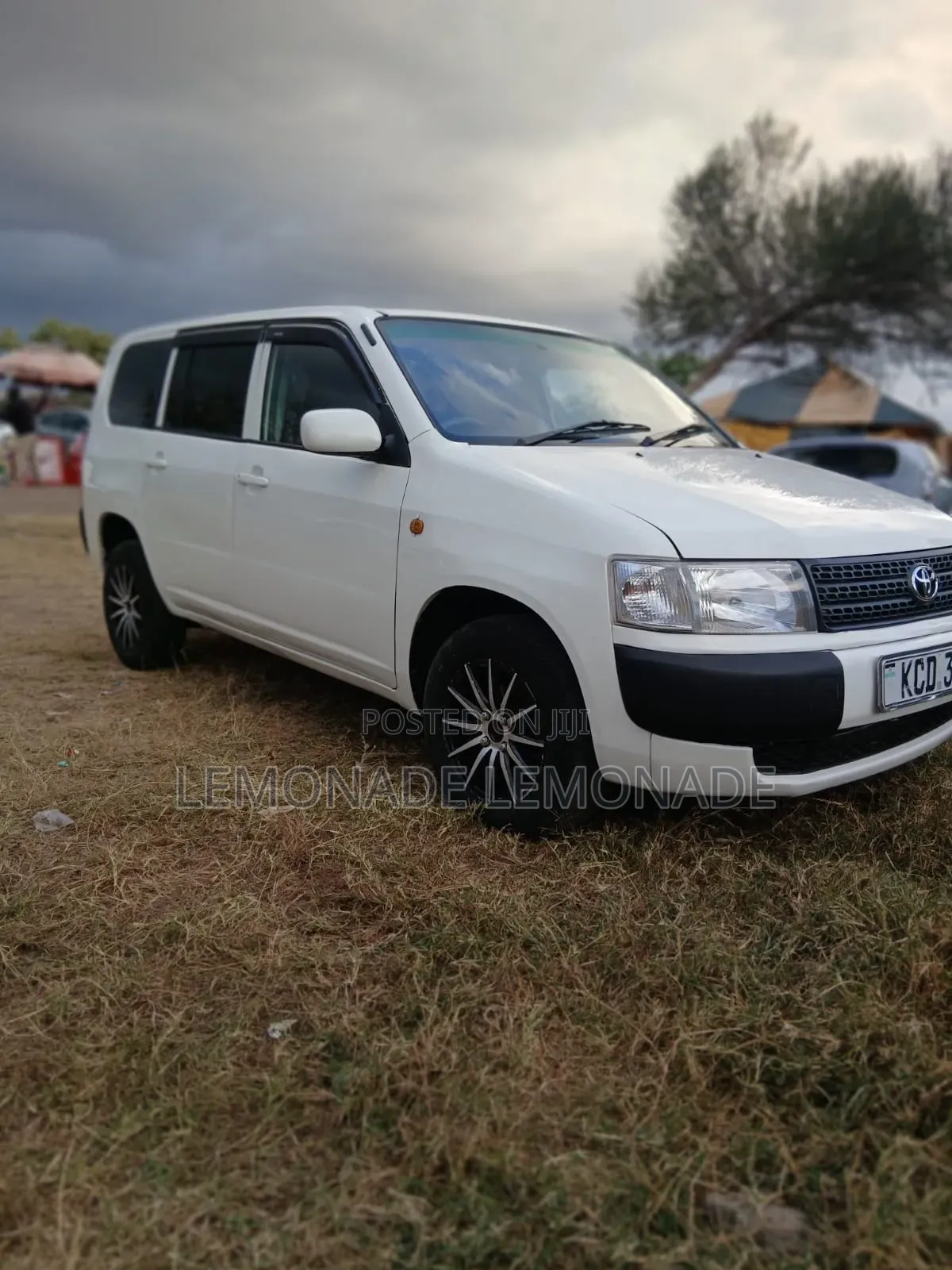 Toyota Probox 1.5 DX 2WD 2009 Pearl