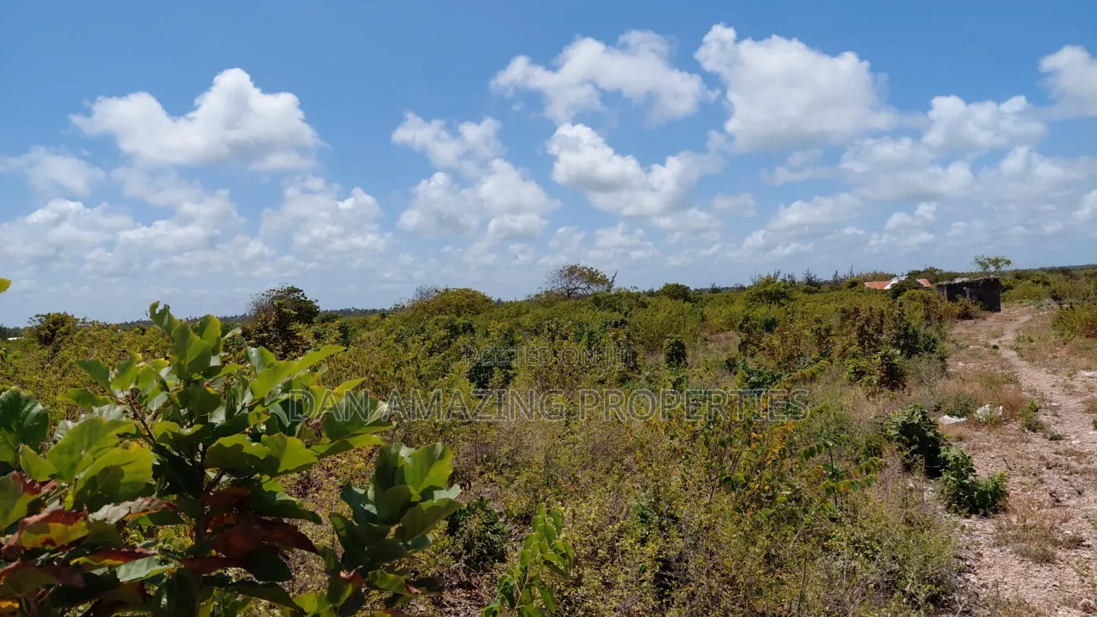 10 Acres Watamu Jacaranda for Sale 5 Mins Walk to the Beach