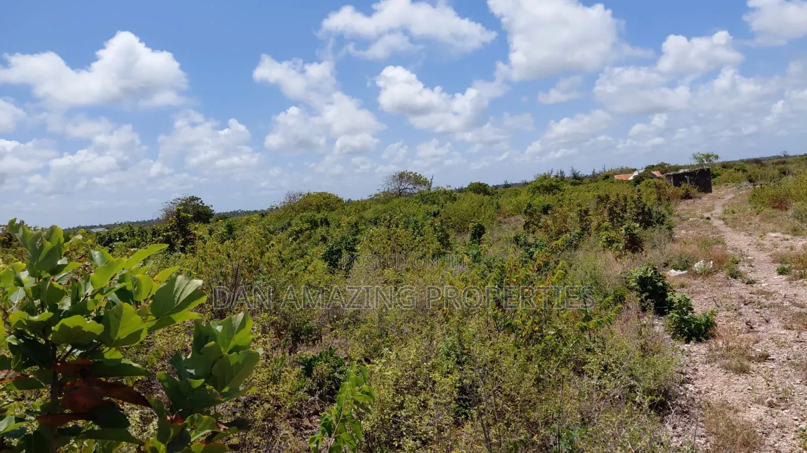 10 Acres Watamu Jacaranda for Sale 5 Mins Walk to the Beach