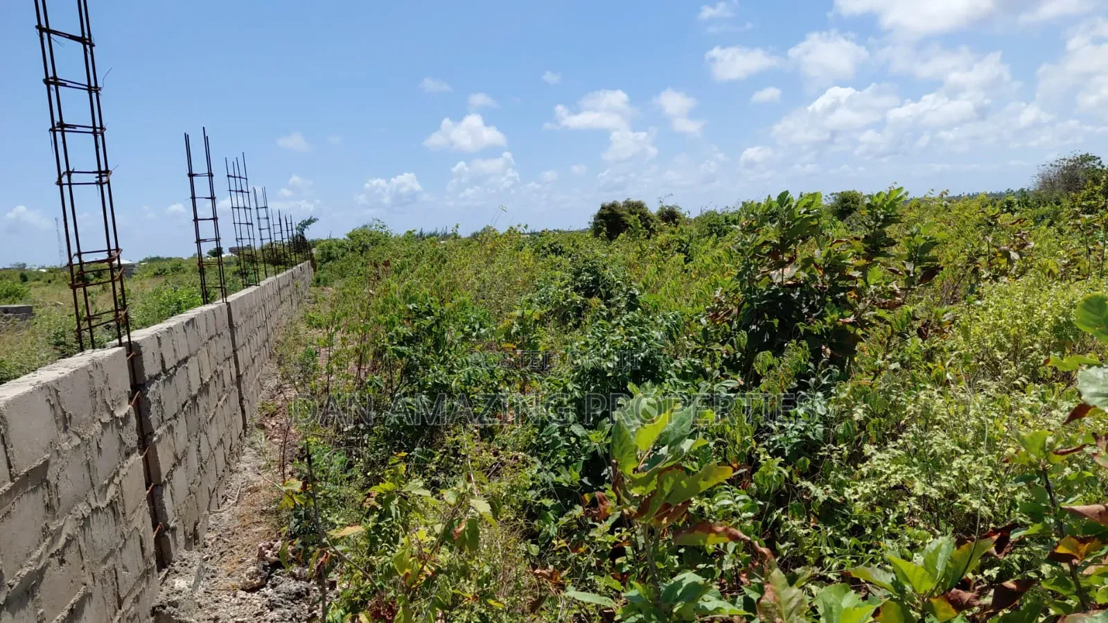 10 Acres Watamu Jacaranda for Sale 5 Mins Walk to the Beach