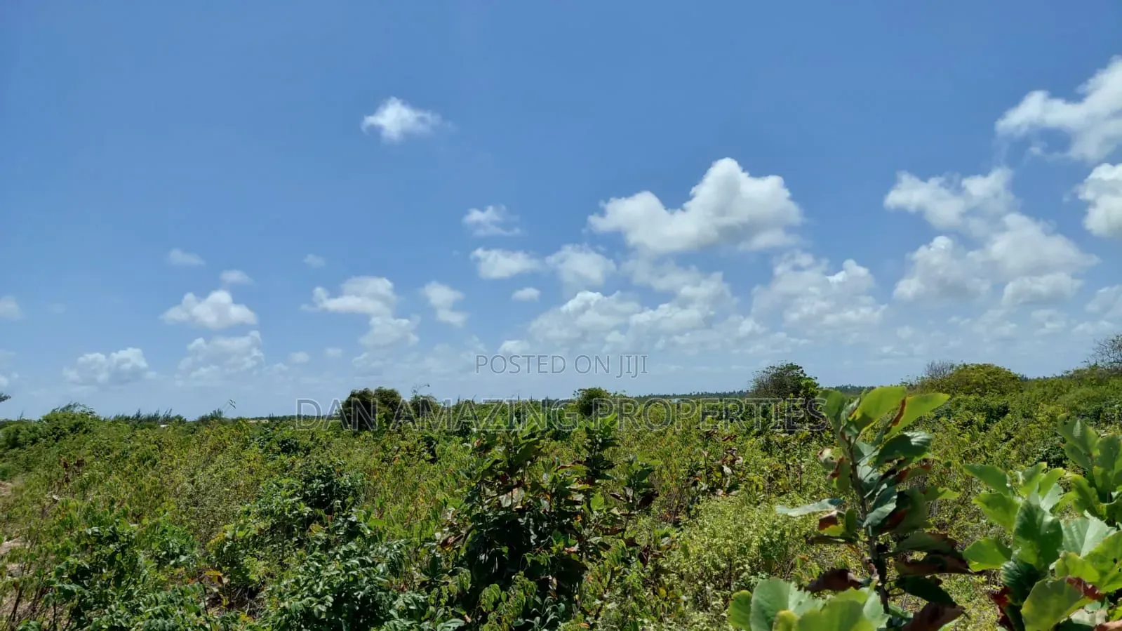 10 Acres Watamu Jacaranda for Sale 5 Mins Walk to the Beach