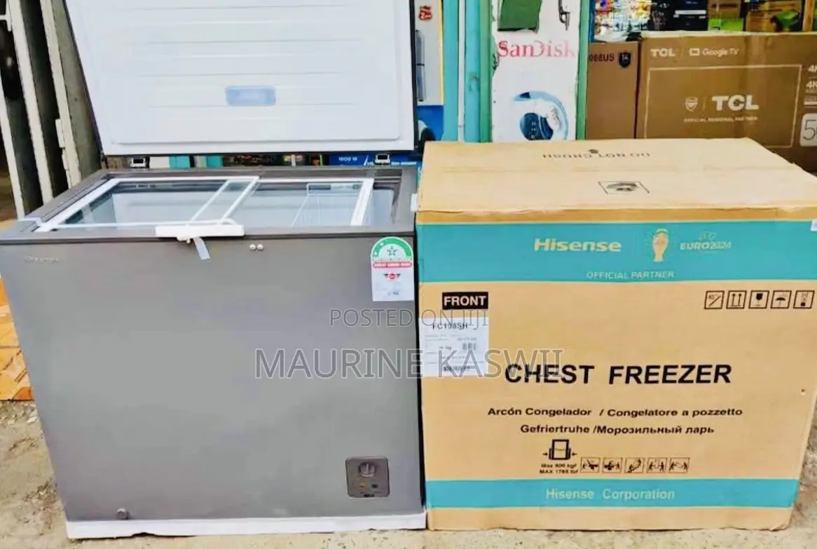 Hisense 200l Dual Freezer