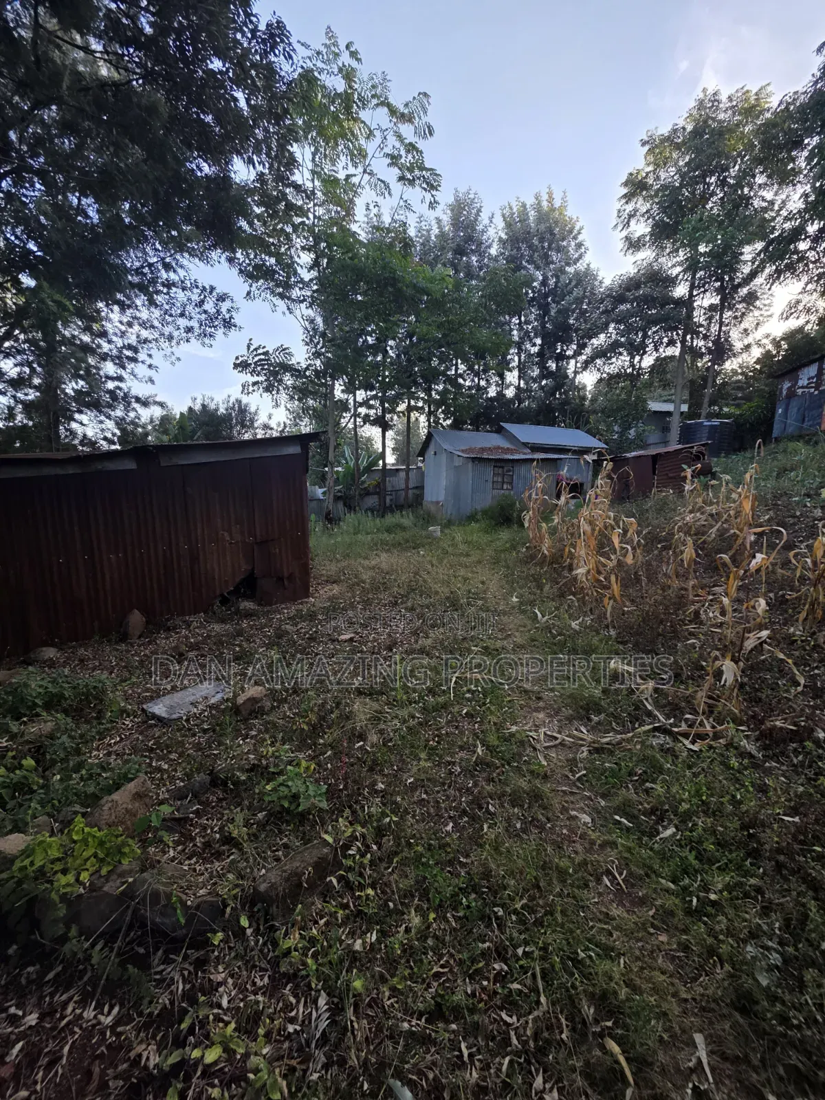 1 Acre Plot in Ngong Olkeri for Sale