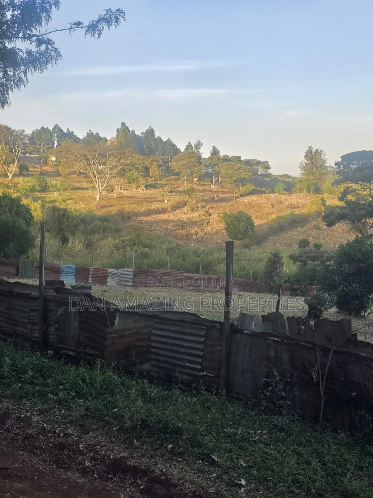 1 Acre Plot in Ngong Olkeri for Sale