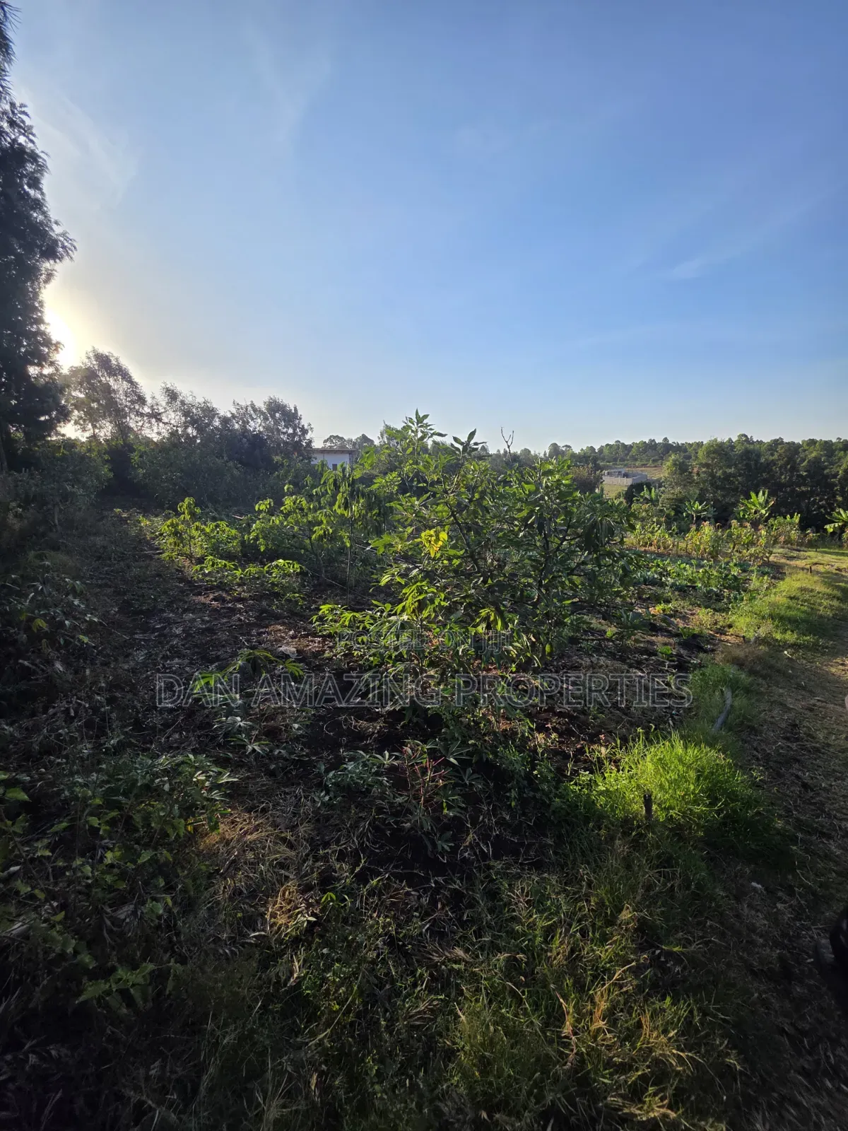 2 Acres Ngong Olkeri With Two Borehole for Sale as Block
