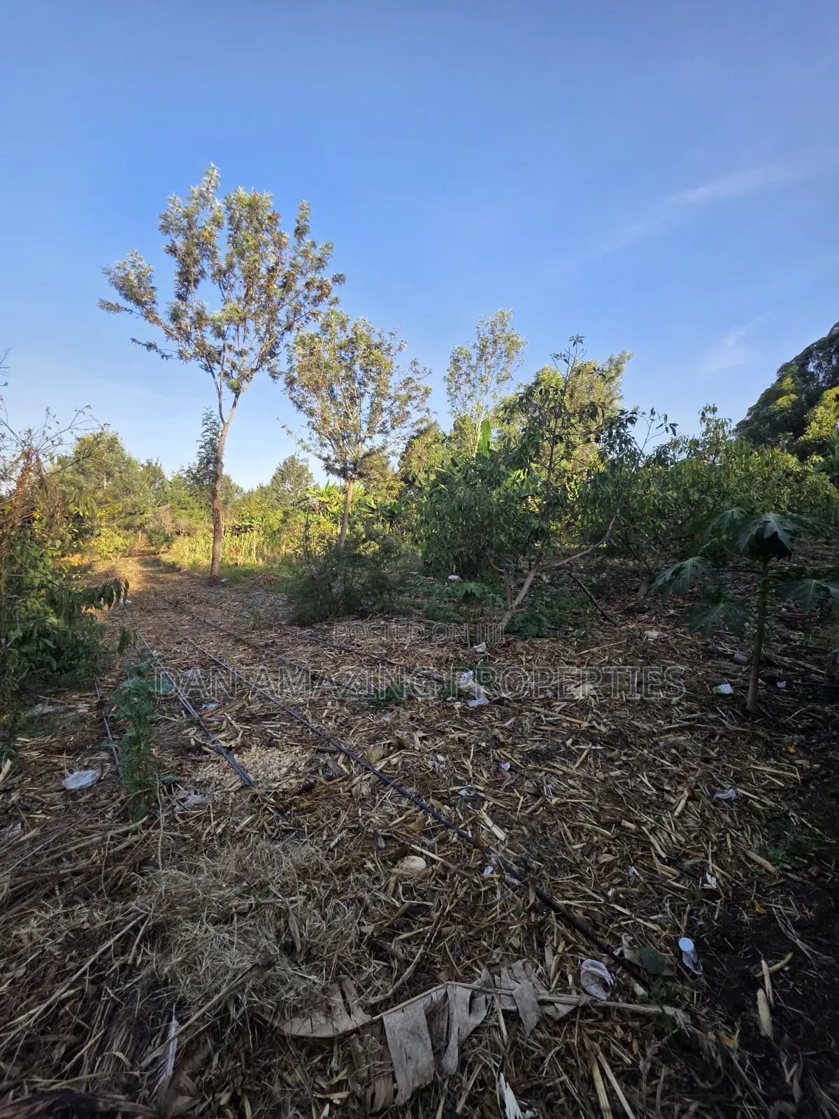 2 Acres Ngong Olkeri With Two Borehole for Sale as Block
