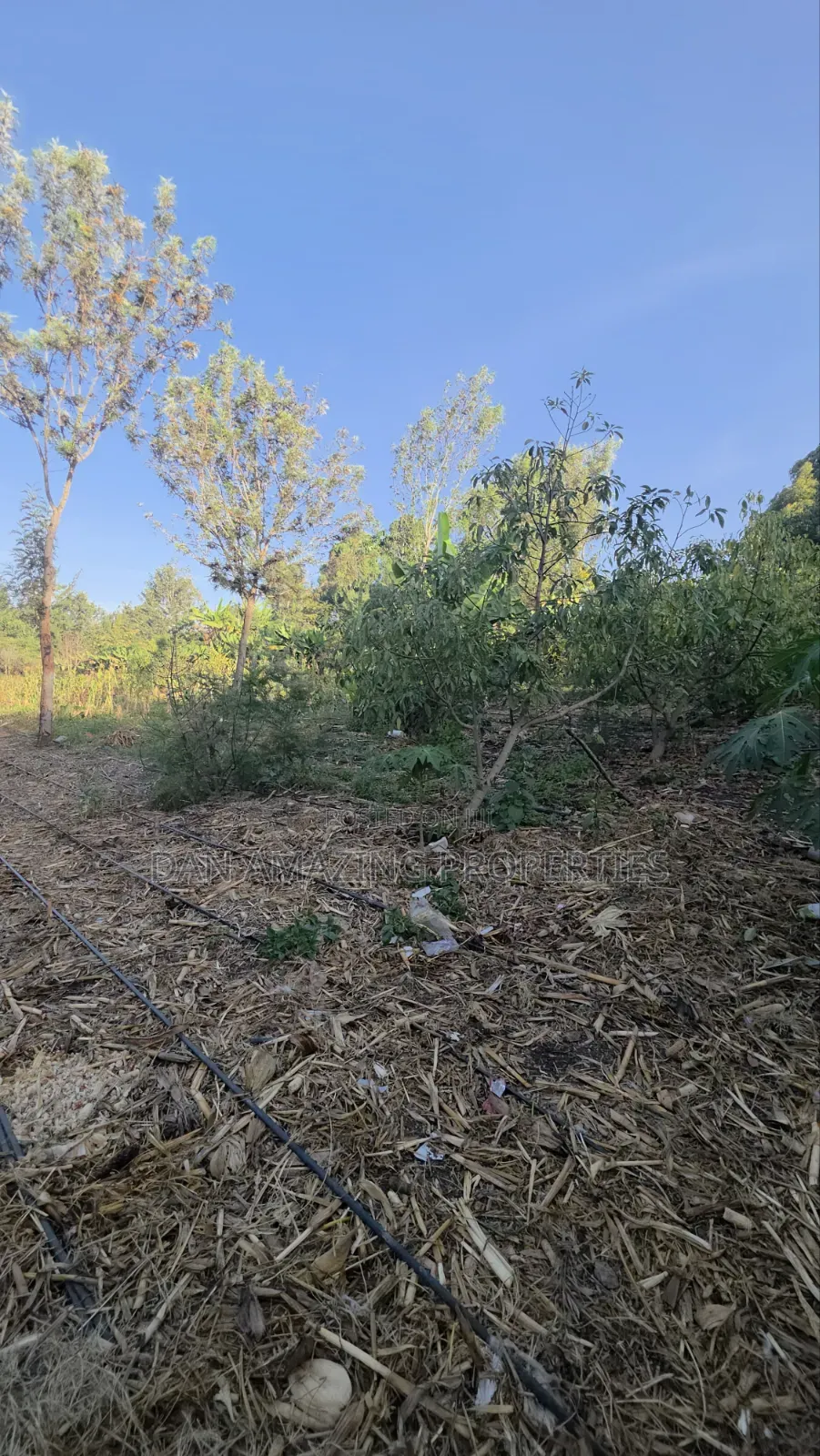 2 Acres Ngong Olkeri With Two Borehole for Sale as Block