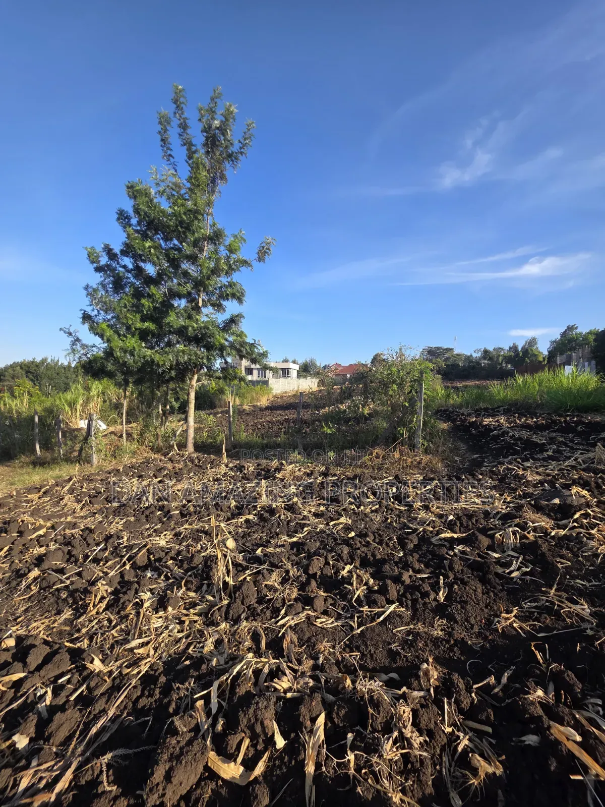 1/2 Acre Ngong Olkeri for Sale Ideal for Residential Development
