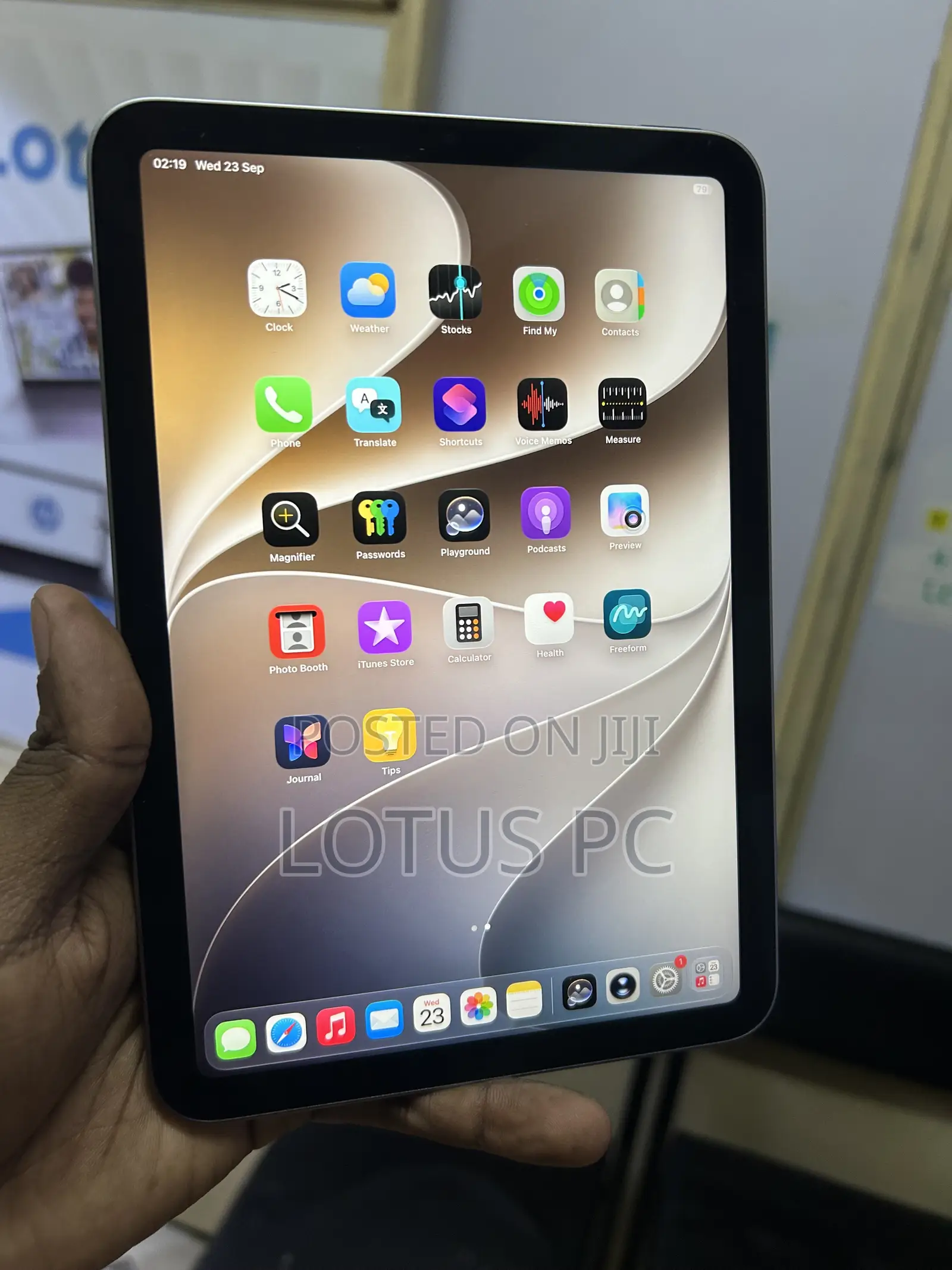 Apple iPad mini 6 256 GB Gray