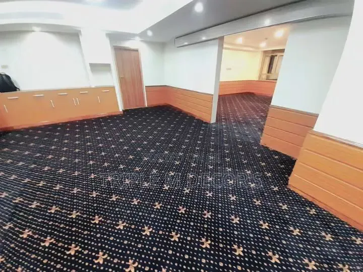 High-Quality 10mm Dotted VIP Wall-to-Wall Floor Roll