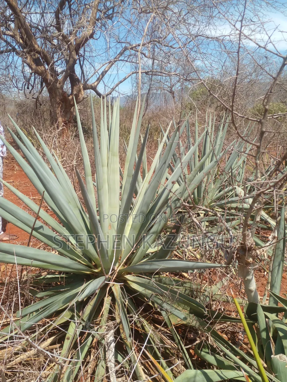 Voi's Best Sitted 6.7 Acres Only 1.2 KMS From Mombasa/Nairobi Highway.