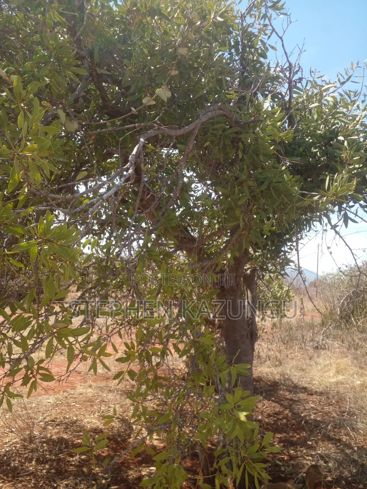 Voi's Best Sitted 6.7 Acres Only 1.2 KMS From Mombasa/Nairobi Highway.