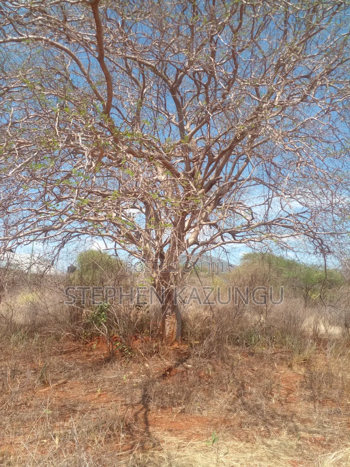 Voi's Best Sitted 6.7 Acres Only 1.2 KMS From Mombasa/Nairobi Highway.