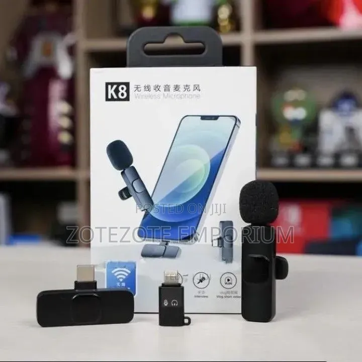 Portable Wireless Microphone