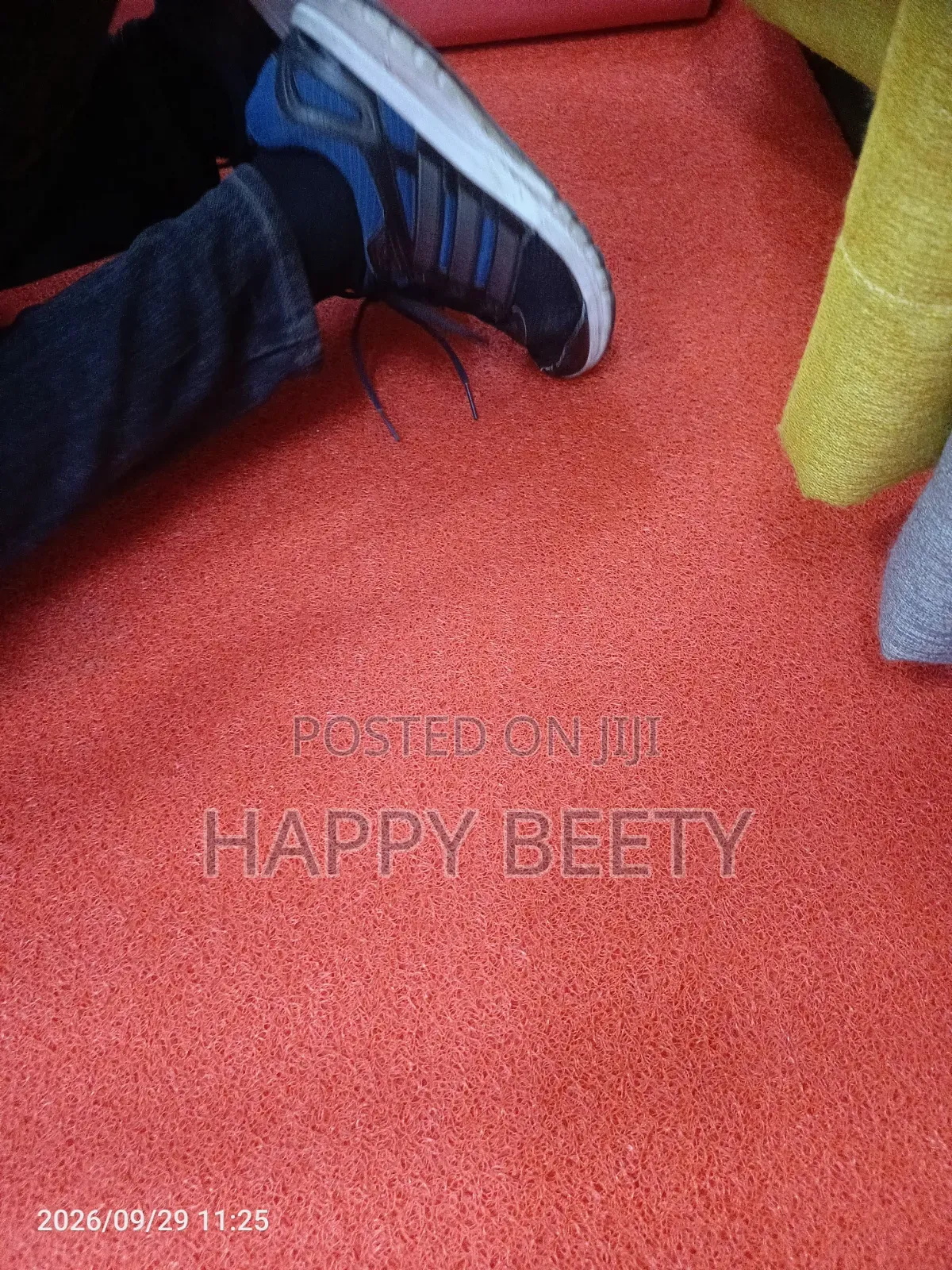 Anti-Skid Spaghetti Carpets for Corridors/Walk Way Carpet/Entrance Mat