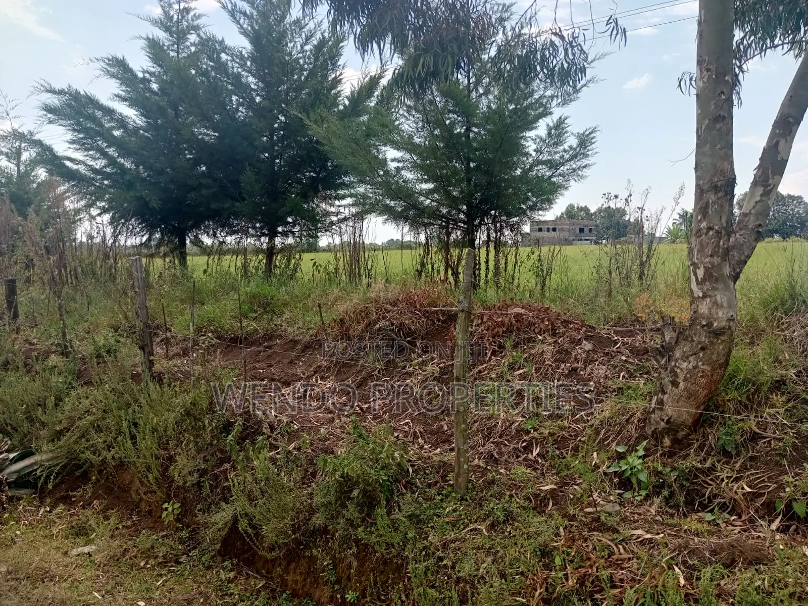 10acres for Sale in Ngata