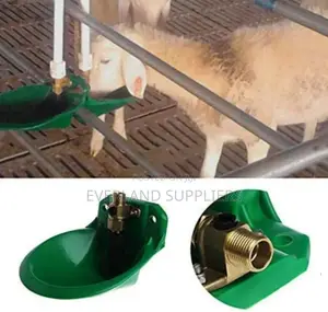 Goat Hydration Bowl Drinker