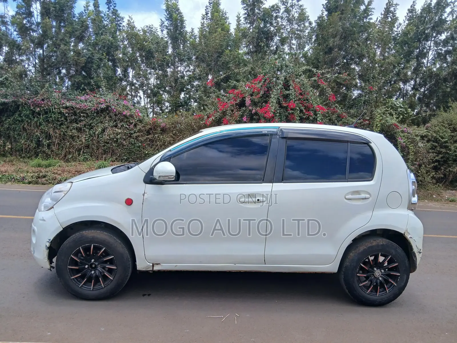 Toyota Passo 2013 White