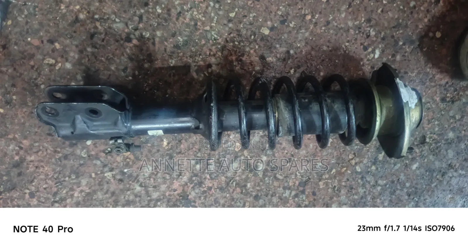 Complete Shock Alto Old Model