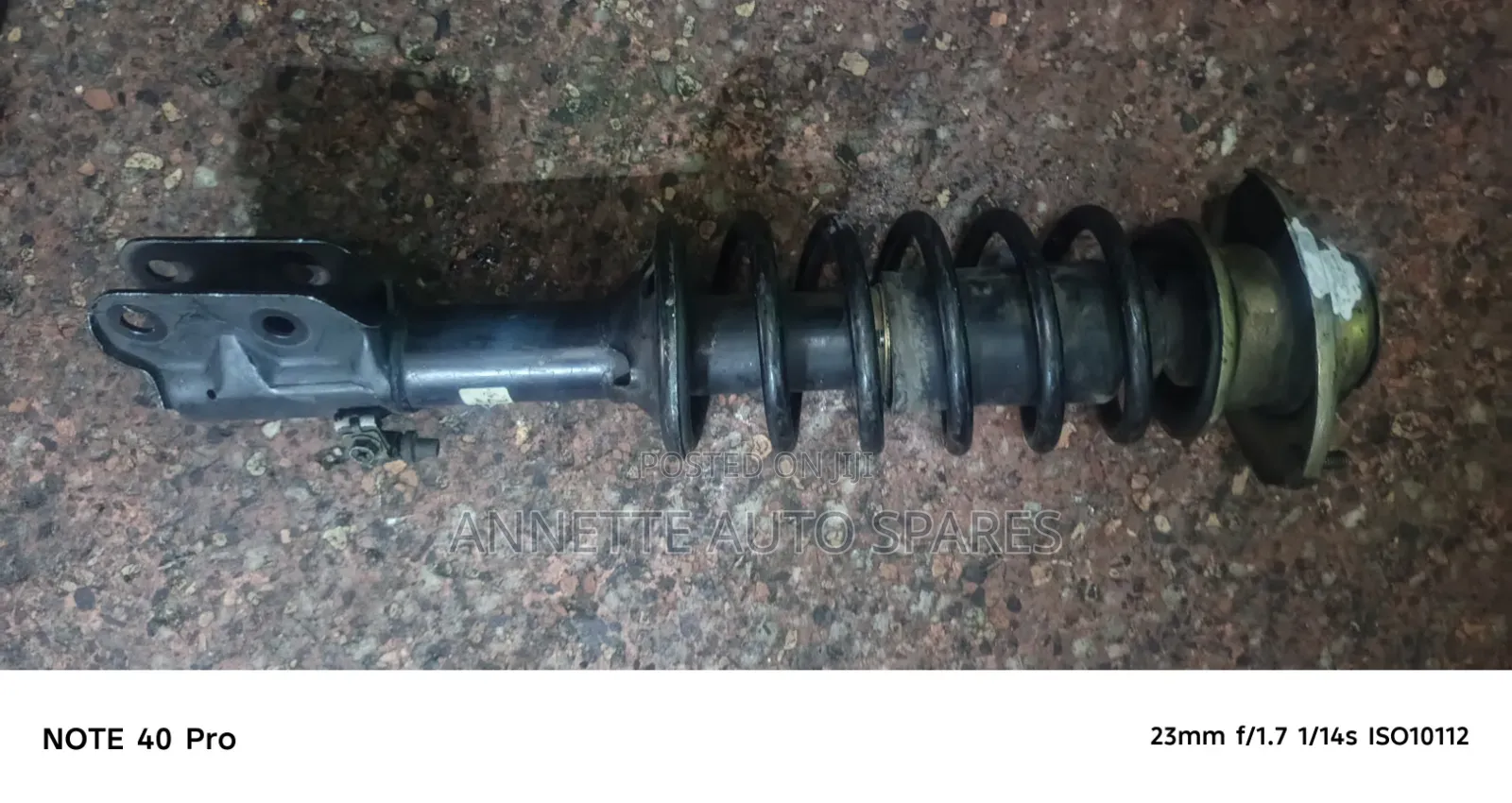 Complete Shock Alto Old Model