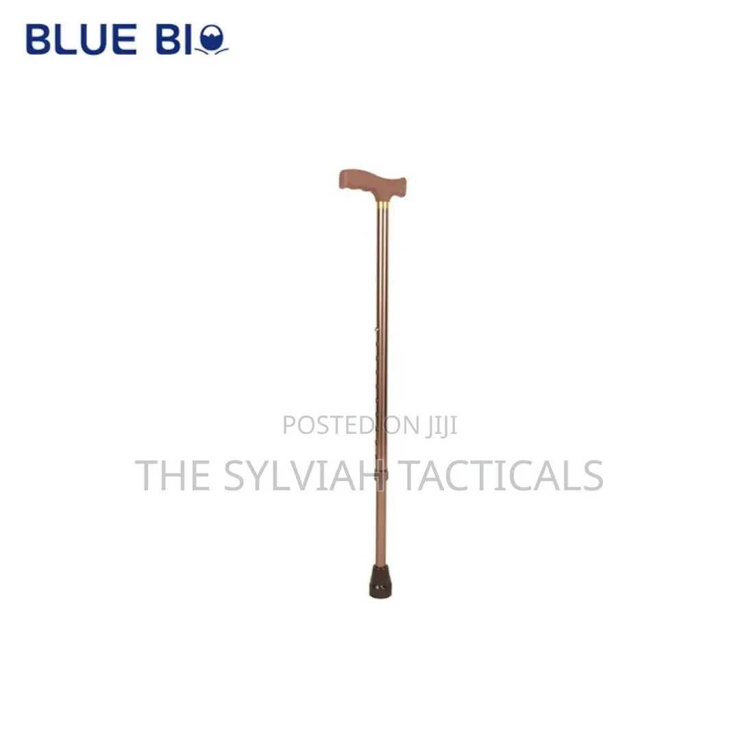 Adjustable Stainless Steel Walking Cane for Seniors Height Adjustable