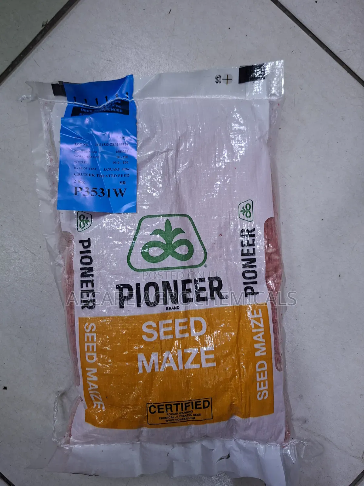 Pioneer Maize Seeds P3531w 2kg