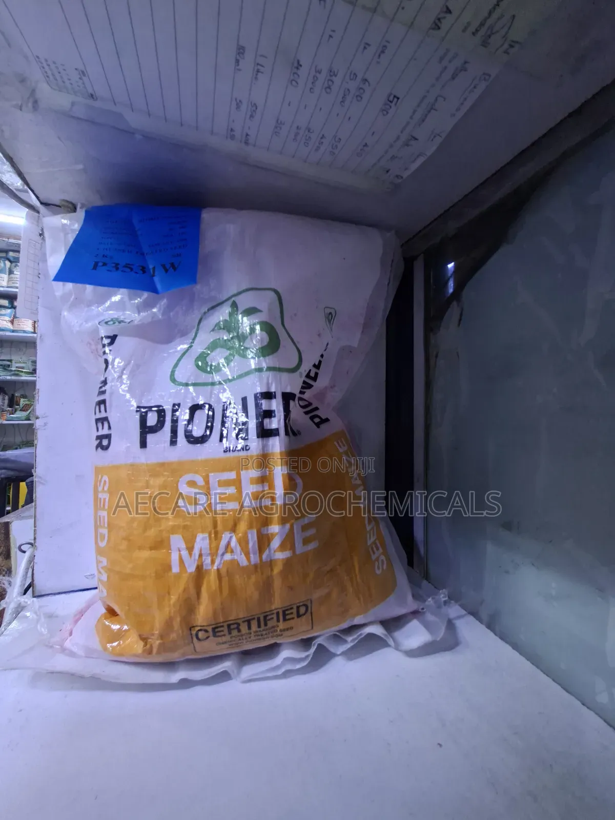 Pioneer Maize Seeds P3531w 2kg