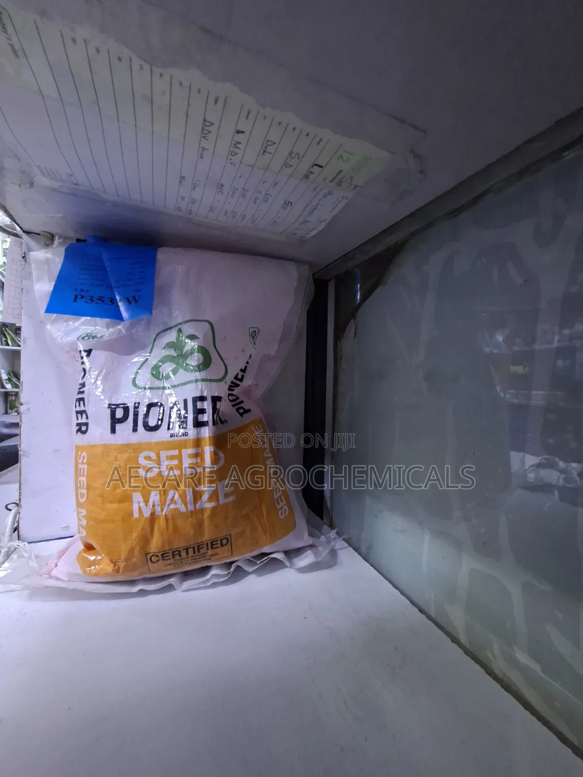 Pioneer Maize Seeds P3531w 2kg
