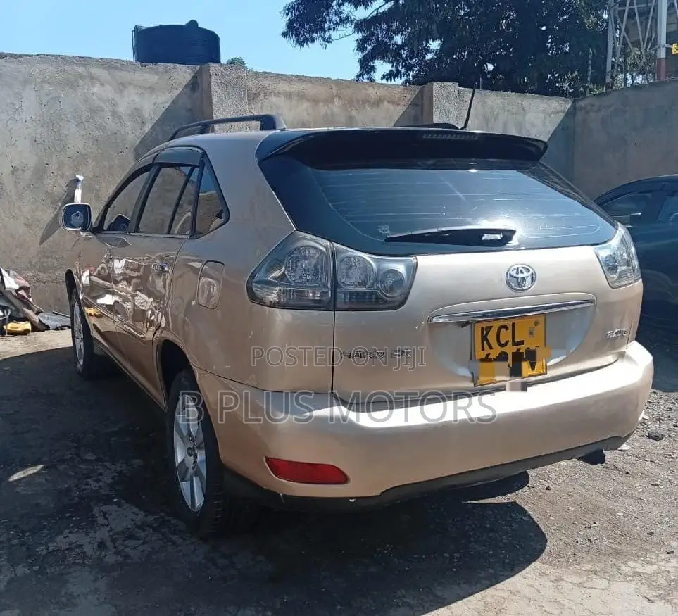 Toyota Harrier 2010 Gold
