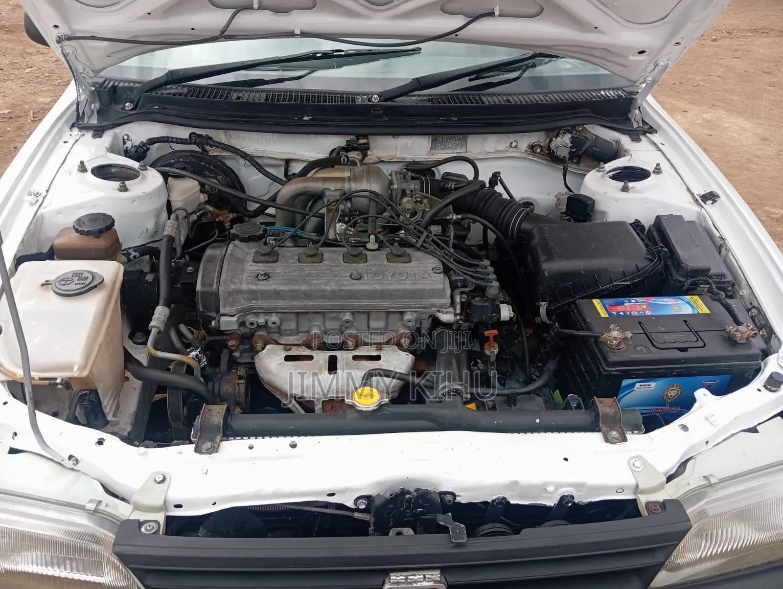 Toyota Corolla 2003 White
