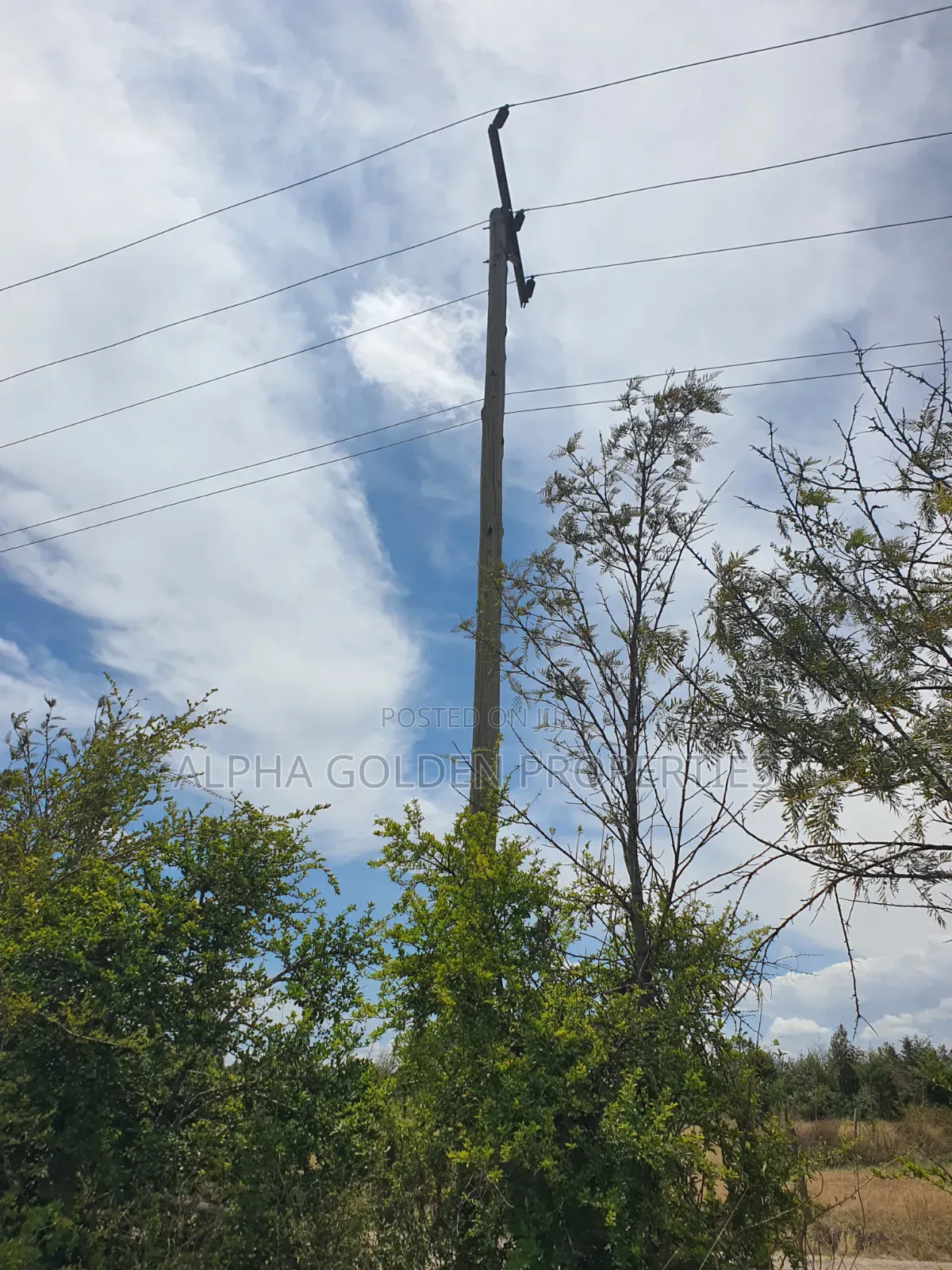 1 Acre Near Nanyuki Airfield