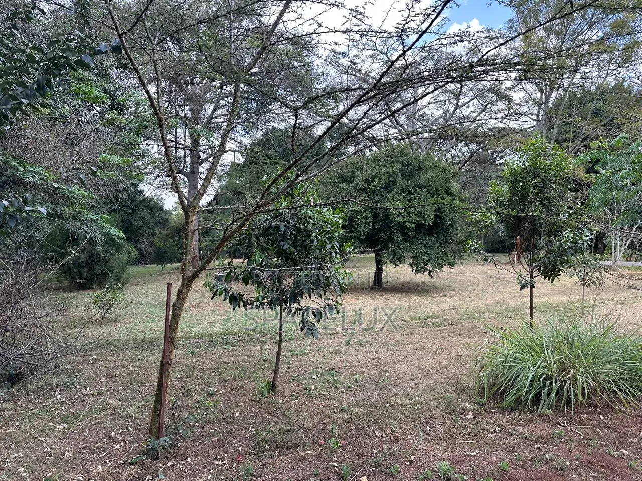 Kilimani 0.5 Acres Prime Land