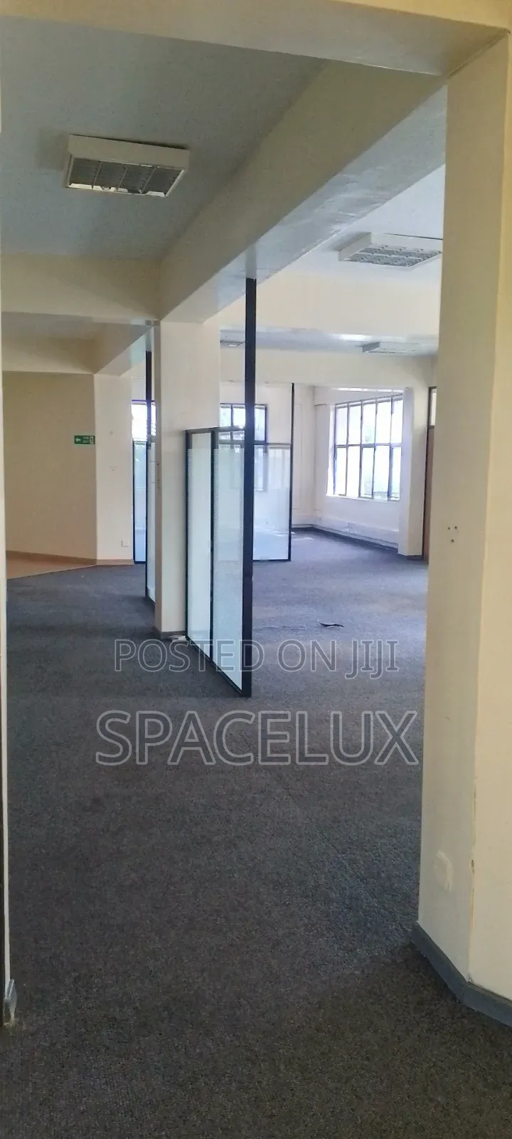 Professional Office Kilimani