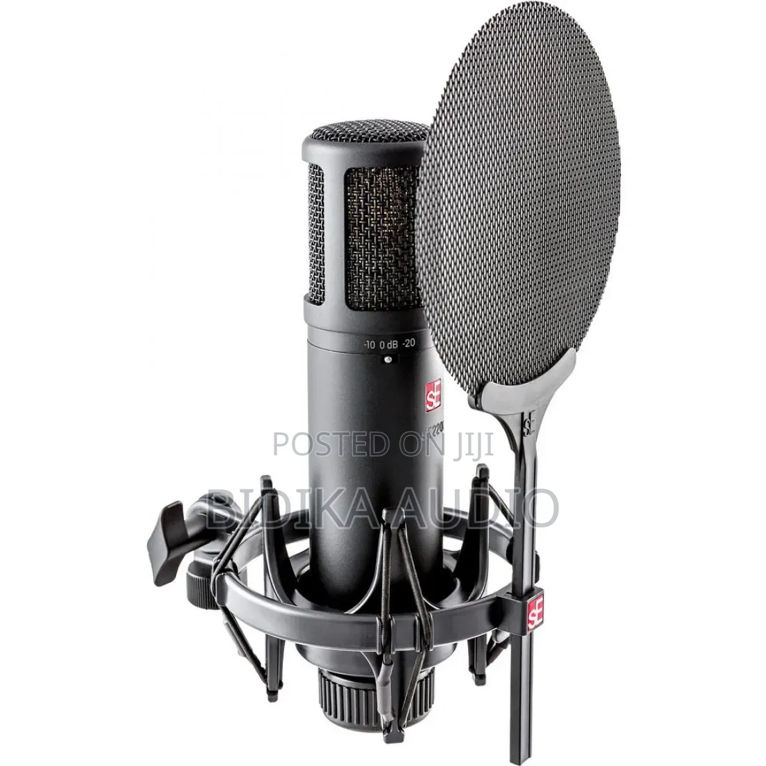 sE Electronics sE2200 Large-Diaphragm Cardioid Condenser Microphone