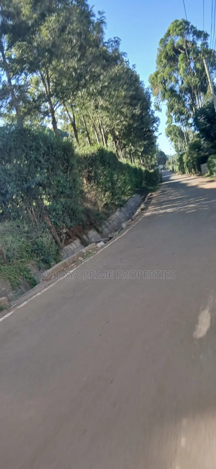 1⁄4-Acre Prime Plot for Sale – Kerarapon Drive