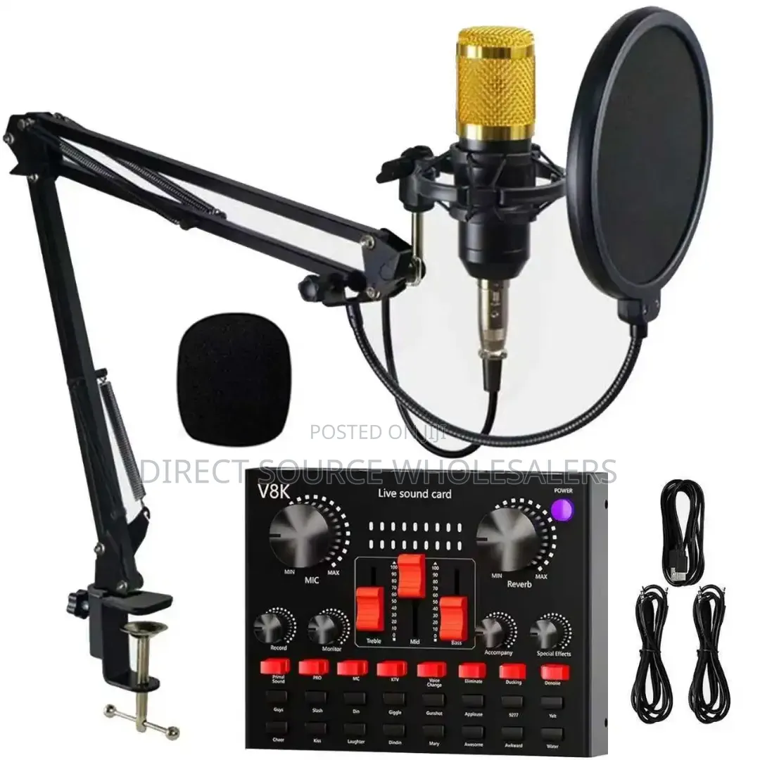 Bm800 V8Sk Condenser Microphone for Live Recording