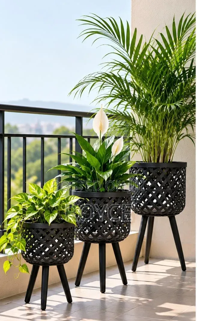 3pcs Boho Rattan Handwooven Plant Stands