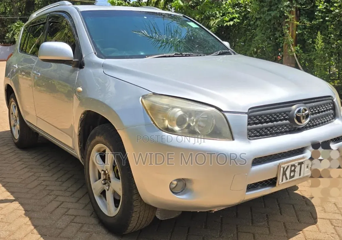 Toyota RAV4 2009 Silver