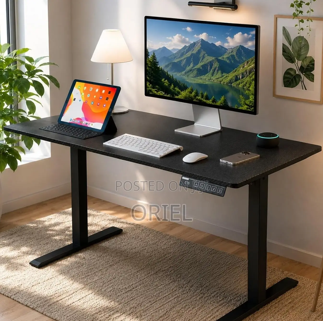 Electric Sit-Stand Home Office Desk