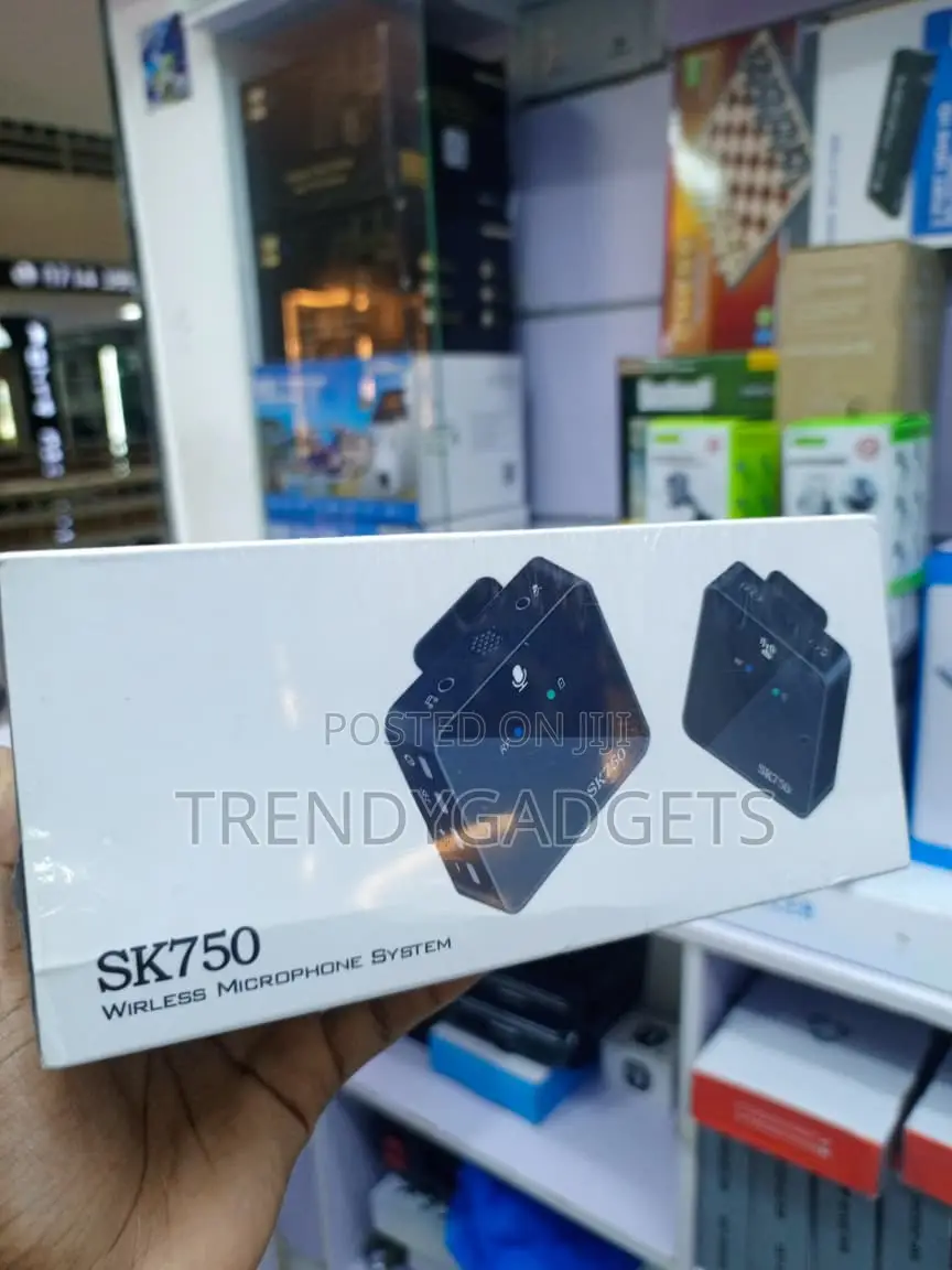 SK750 Wireless Microphone System for Interviews Live Streaming
