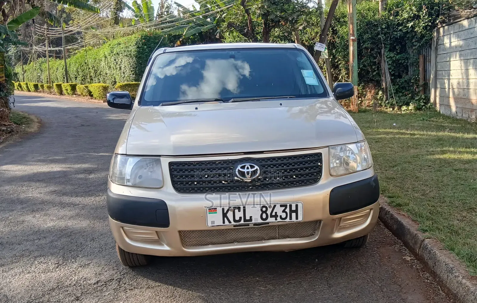 Toyota Succeed 2010 Brown
