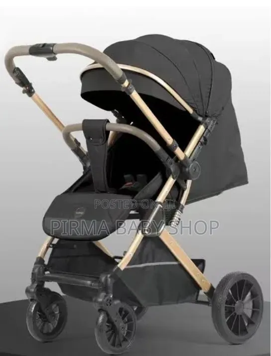 2in1 Burby Stroller