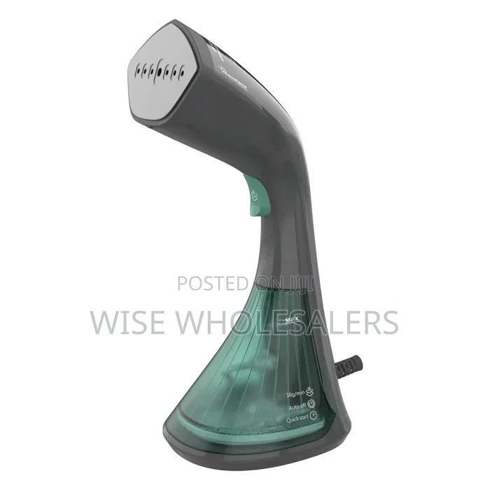 Garment Steamer