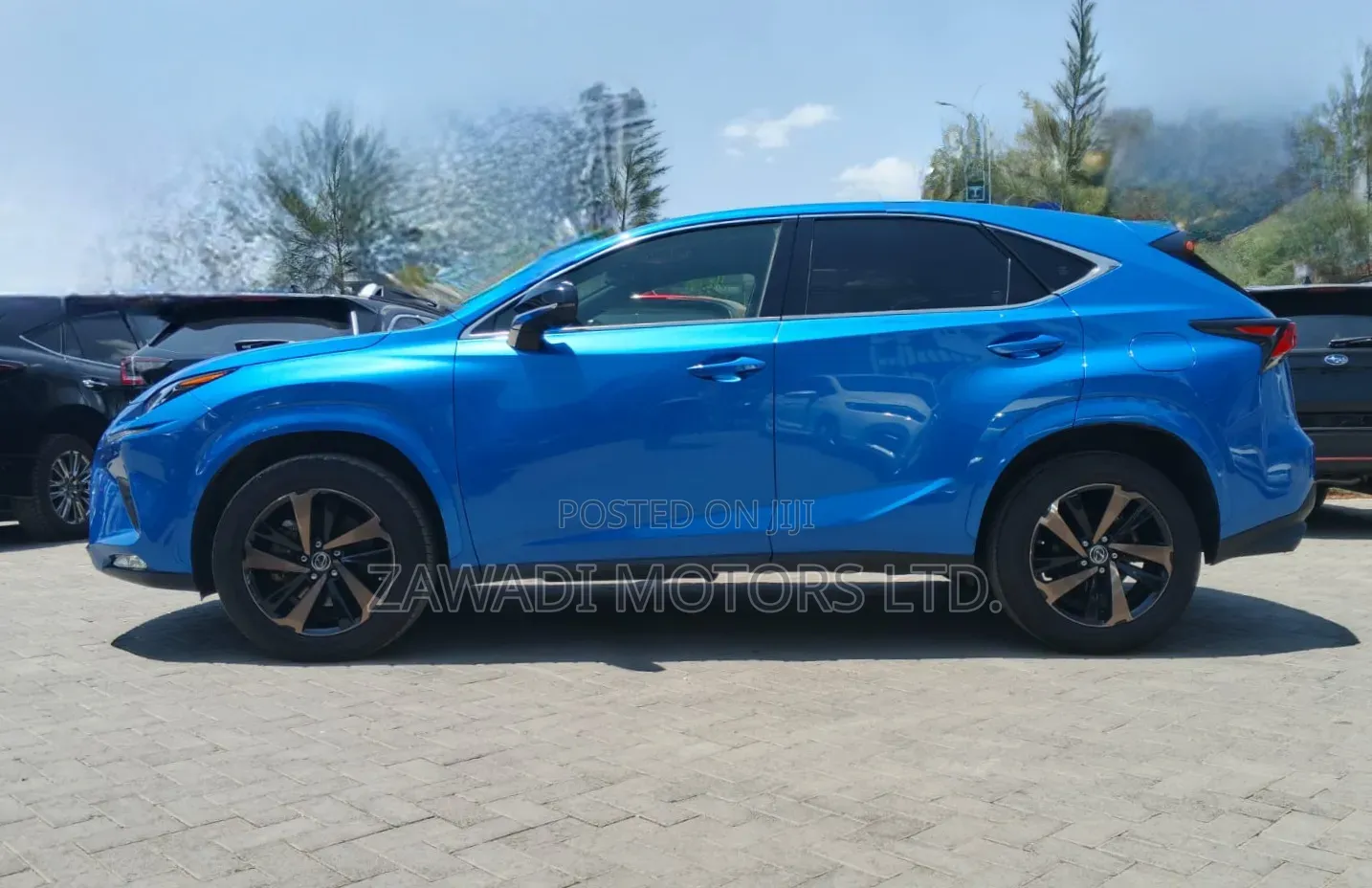 Lexus NX 300 AWD 2020 Blue