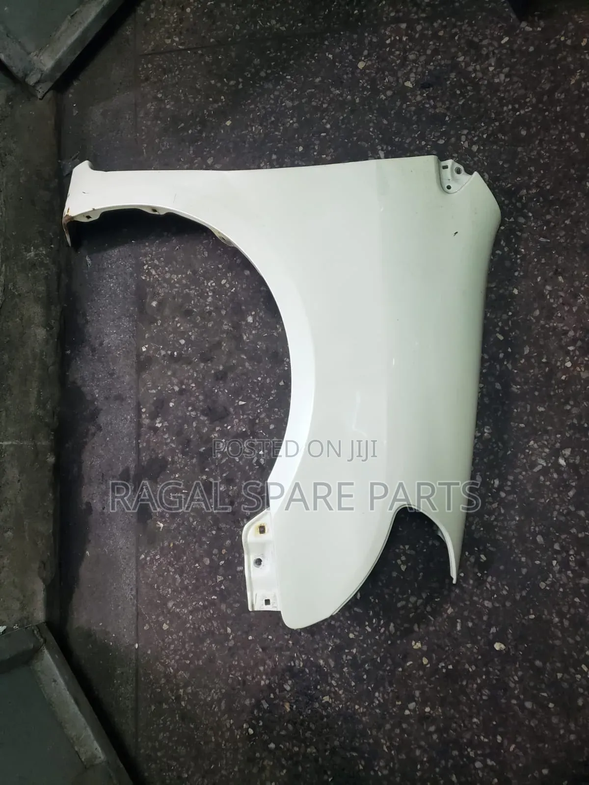 Raum Wing/ Fender