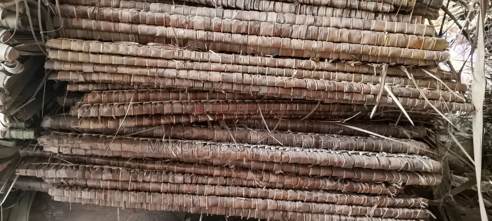 Makuti Extra- Large for Sale