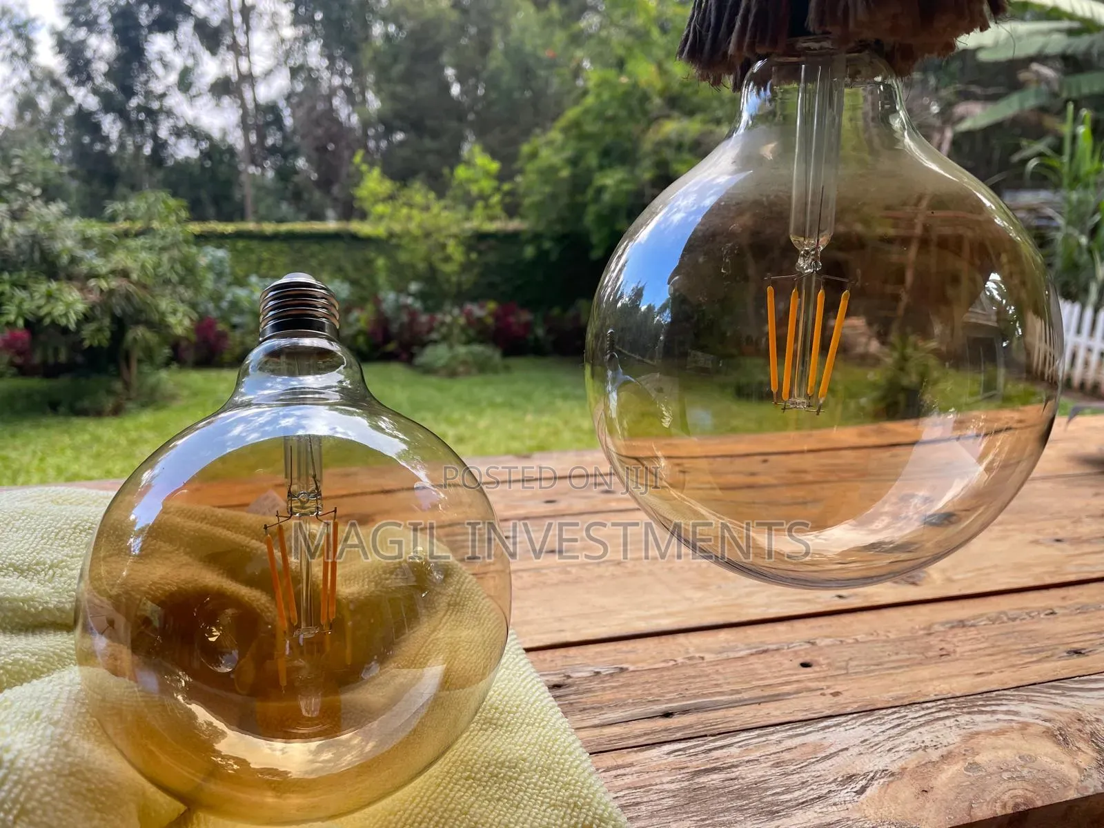 Filament Bulbs Big
